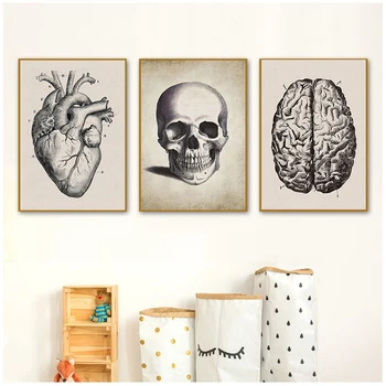 Beyin Parmak kafatası İnsan Anatomisi Poster Vintage duvar sanatı tuval yağlıboya İskandinav Posterler Ve Baskılar Duvar Resimleri Için Oturma Odası